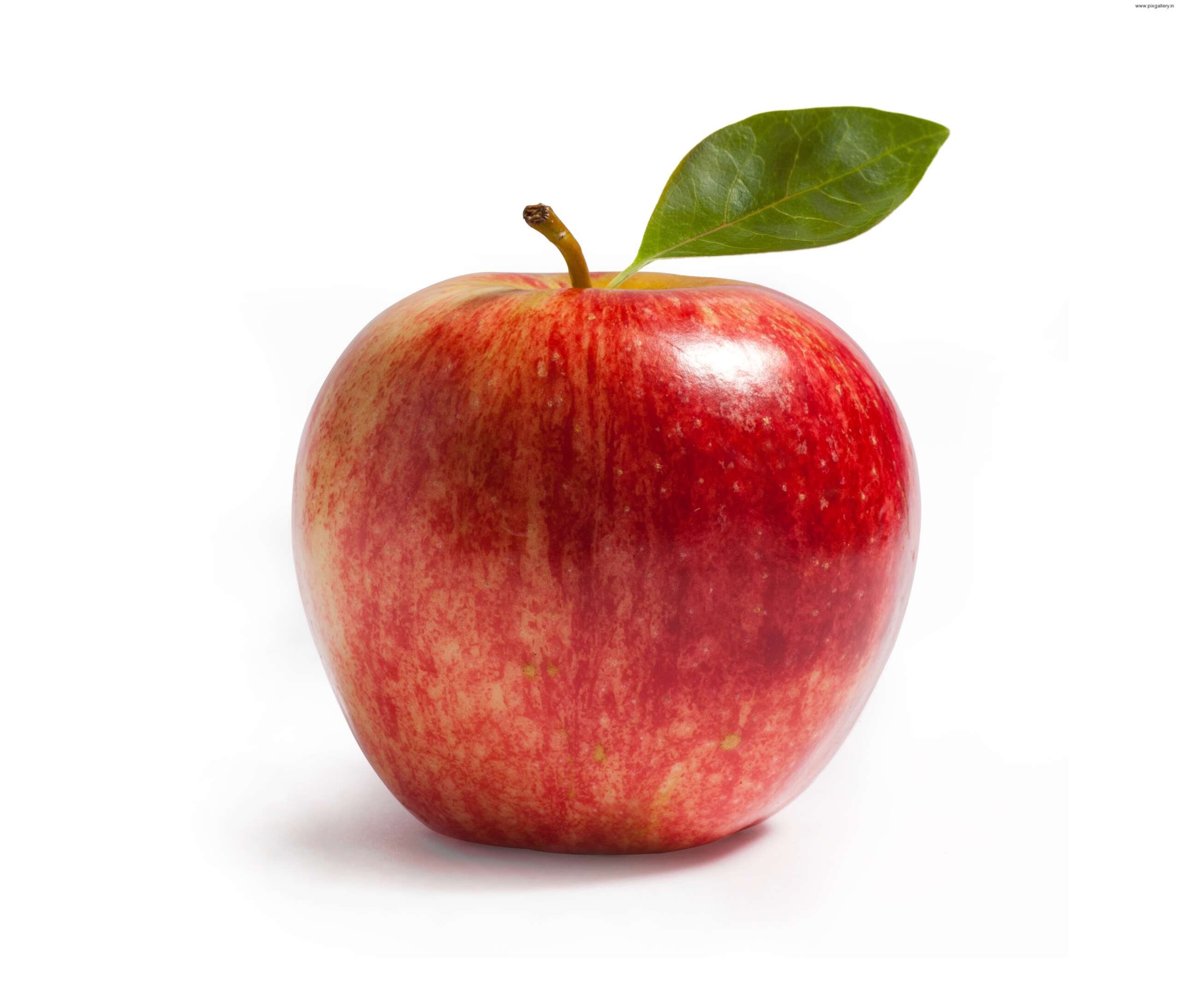 The apple am little. Яблоко. Яблоко на белом фоне. Красное яблоко на белом фоне. Яблоки красные.
