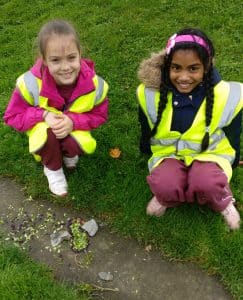 Primary School Students making Birds from seeds, rocks, and leaves found in the park