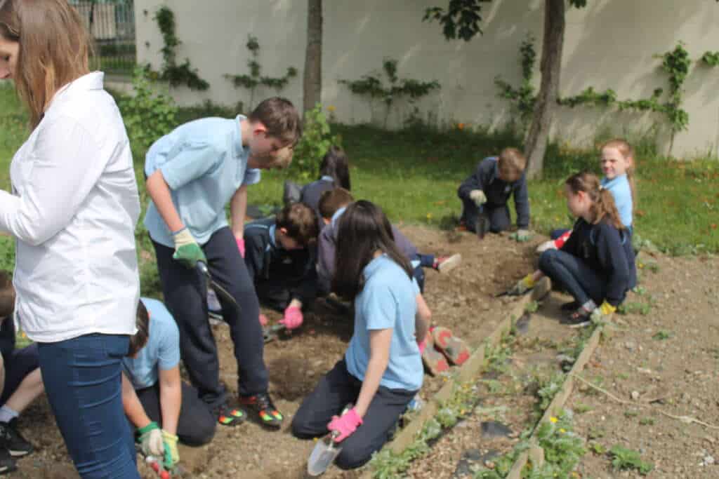 Children planting vegetables