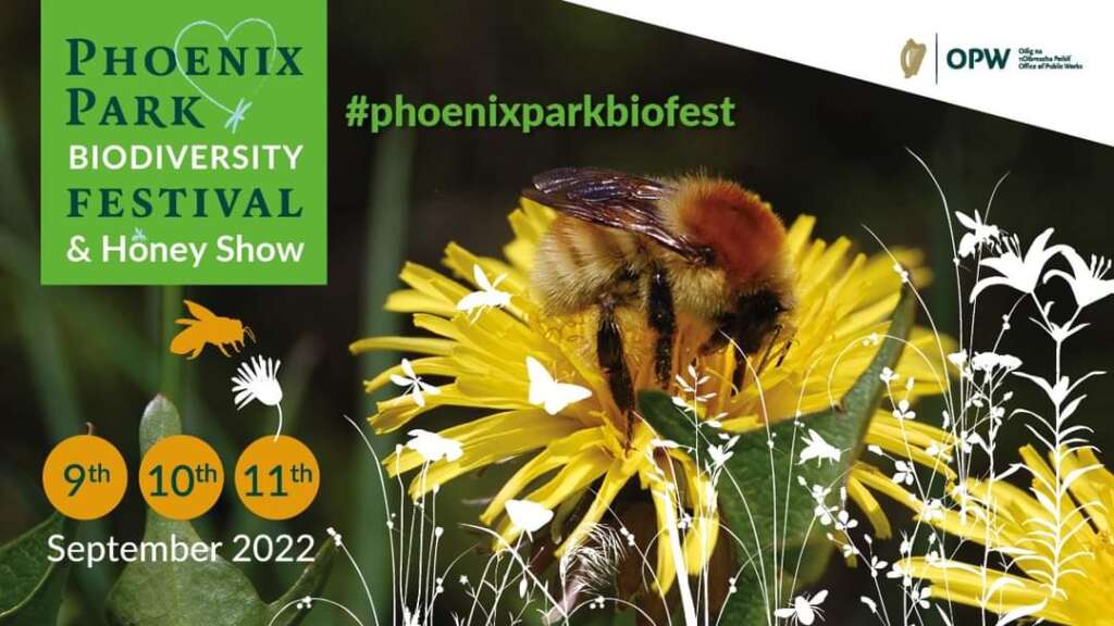 Phoenix Park Biodiversity Festival brochure