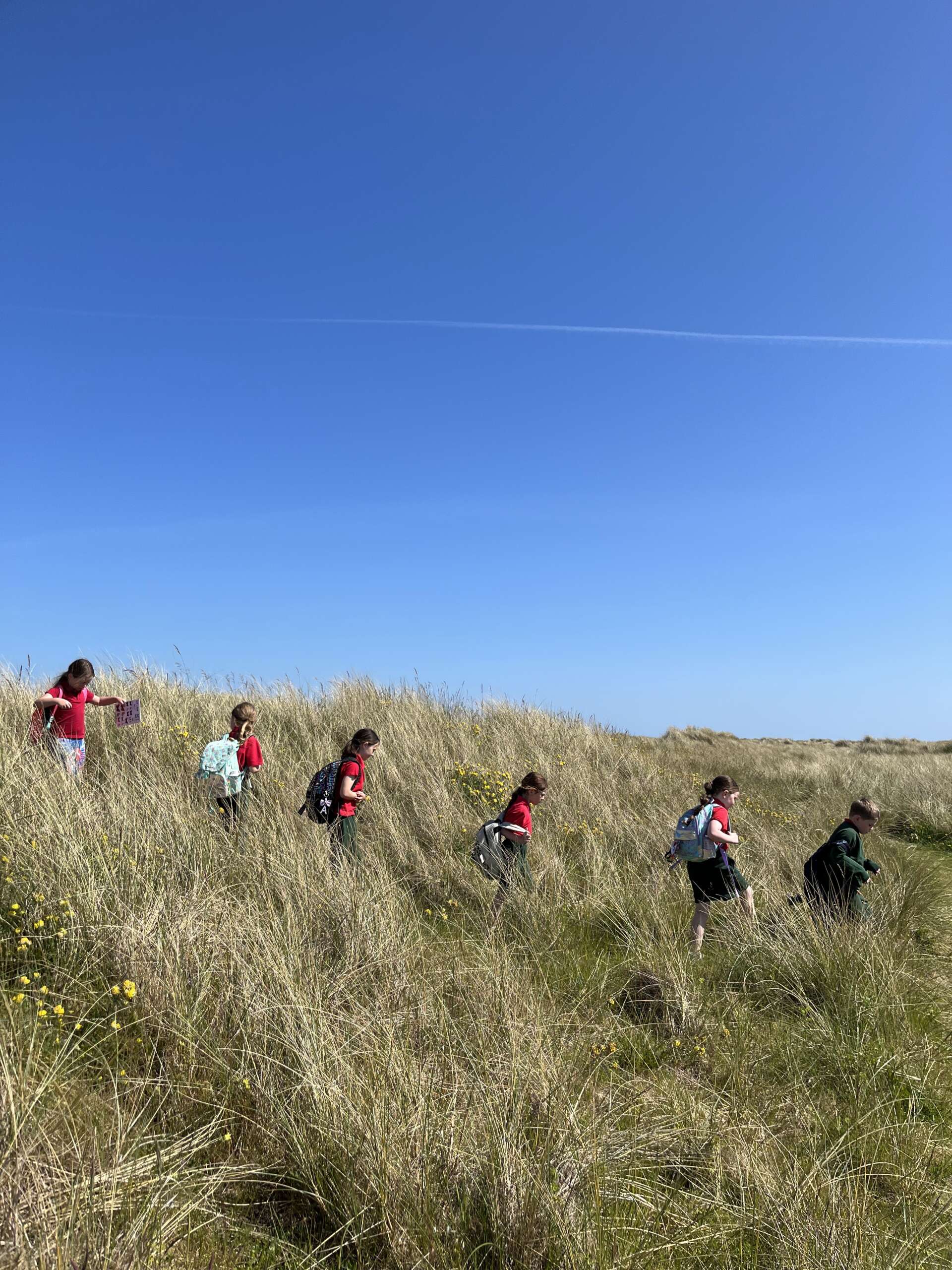 Students from Gaelscoil Bhaile Mhunna on Bull Island, for a session of GAP's Park Stewardship programme