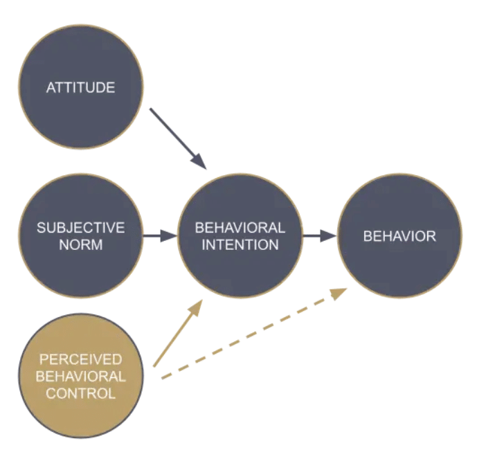 Diagram theory of planned behaviour, based on Madden, 1992