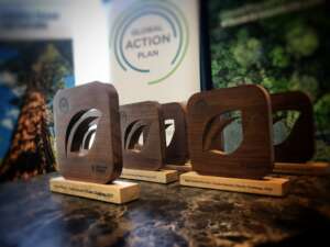 Competition awards, made from recycled tables