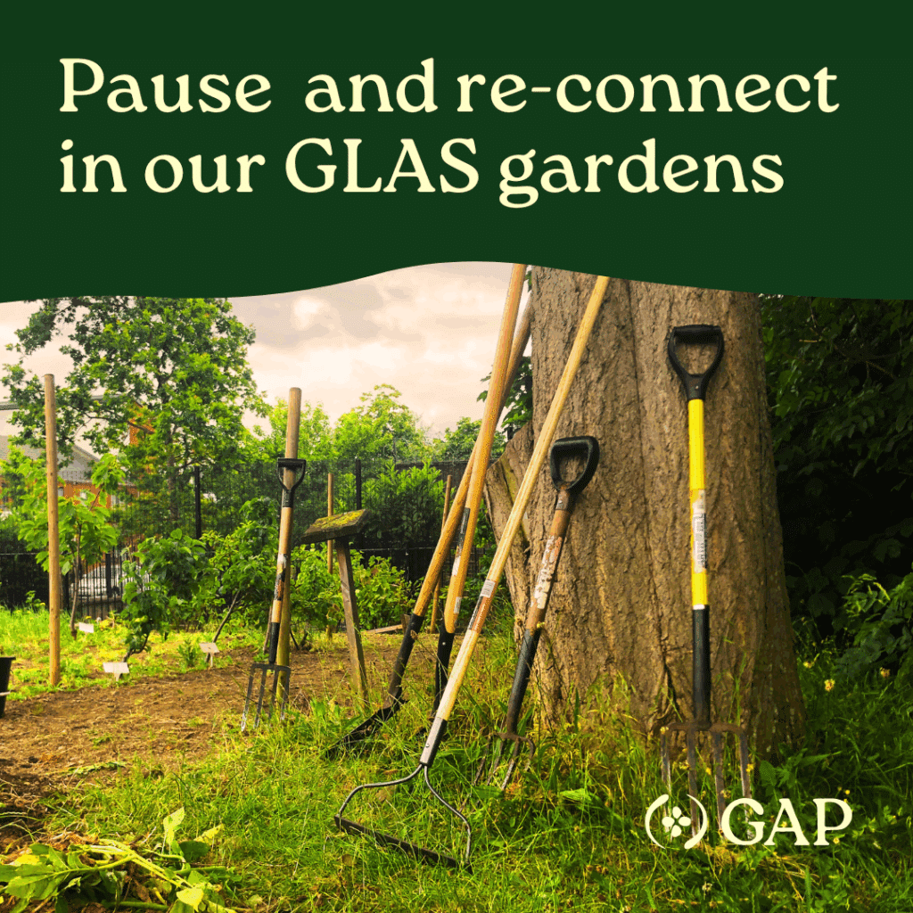 A set of tools in the community garden