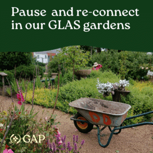 wheelbarrow in the GLAS community garden