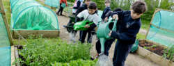 children watering vegetables in the GLAS community garden