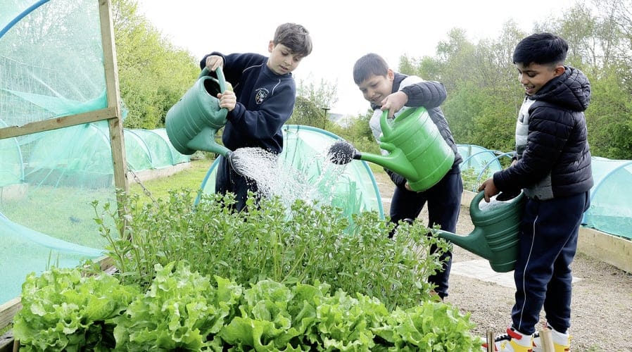 School boys watering plants in the community garden