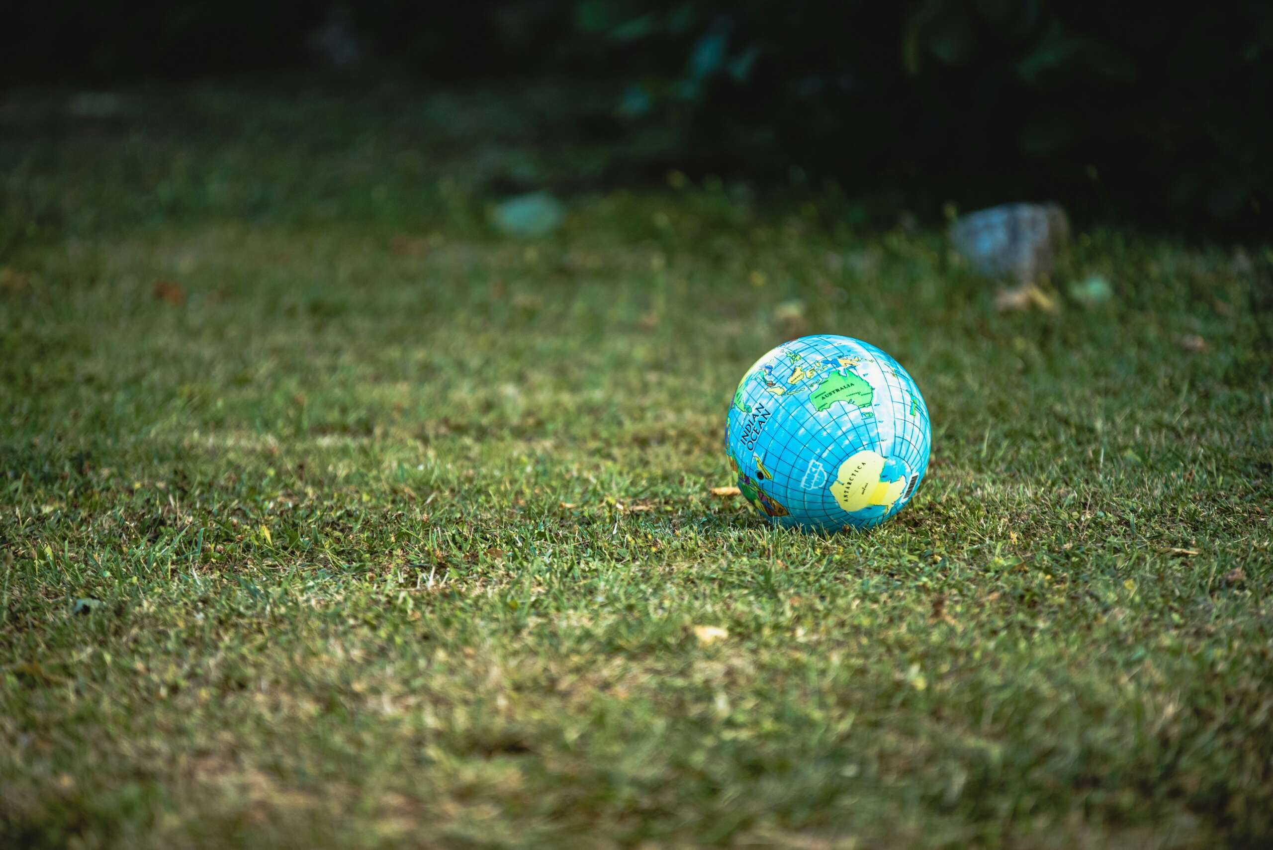 Small globe on grass