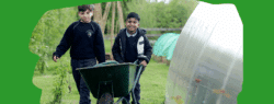 Boys with a wheelbarrow