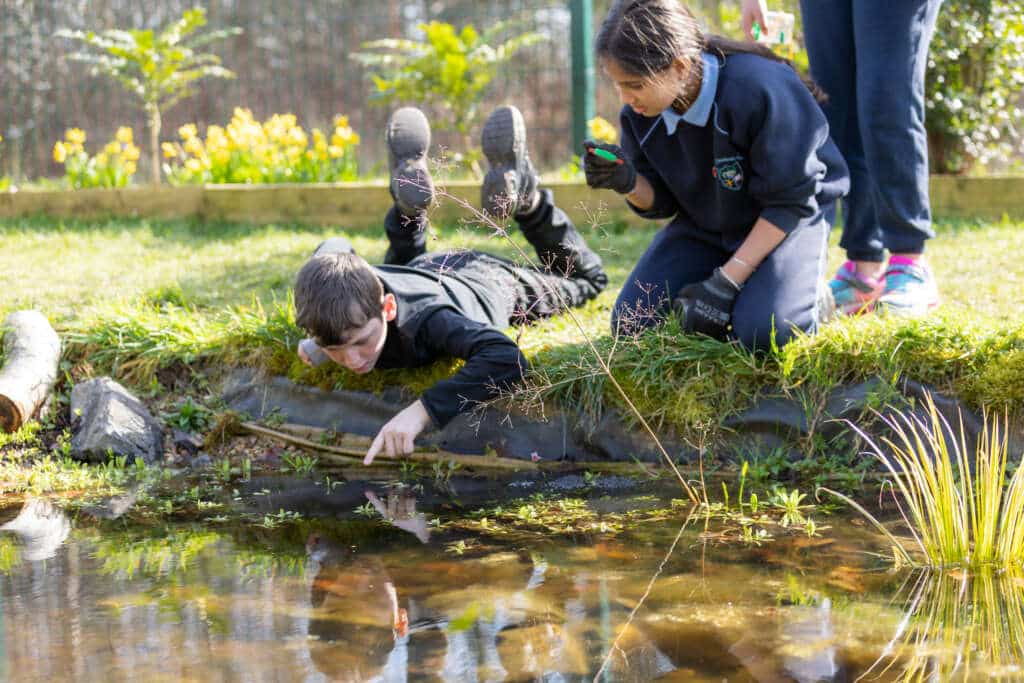 two children examining the life in the pond