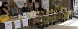 GAP stall at the Ballymun Harvest Market, 2007