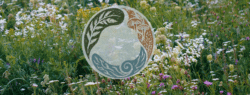 Our Dulra logo