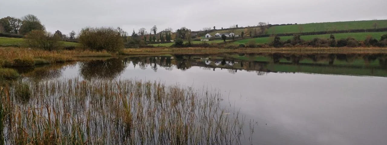 A lake in Monaghan